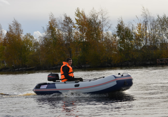 Лодка надувная Стелс 315